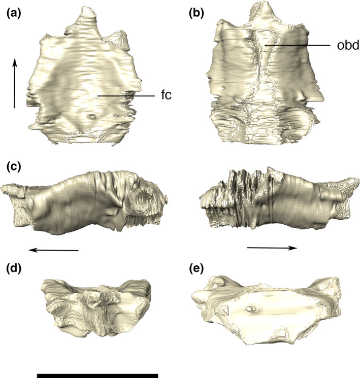 FIGURE 17