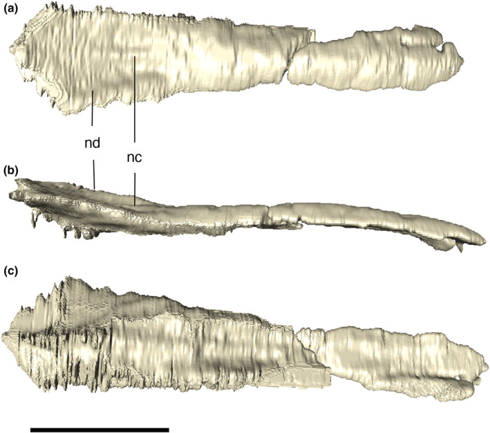 FIGURE 11