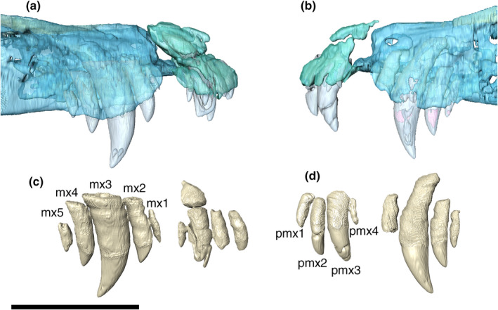 FIGURE 45