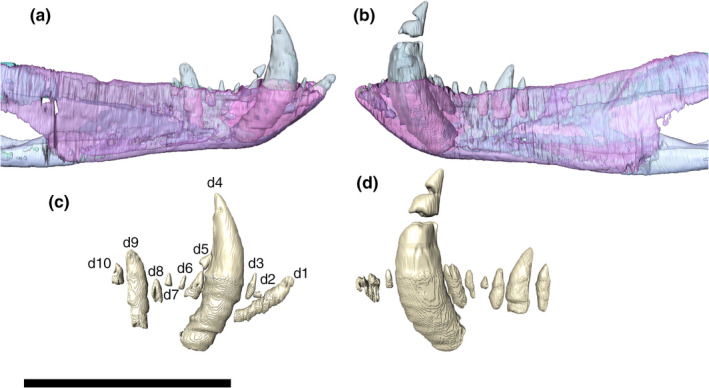 FIGURE 46