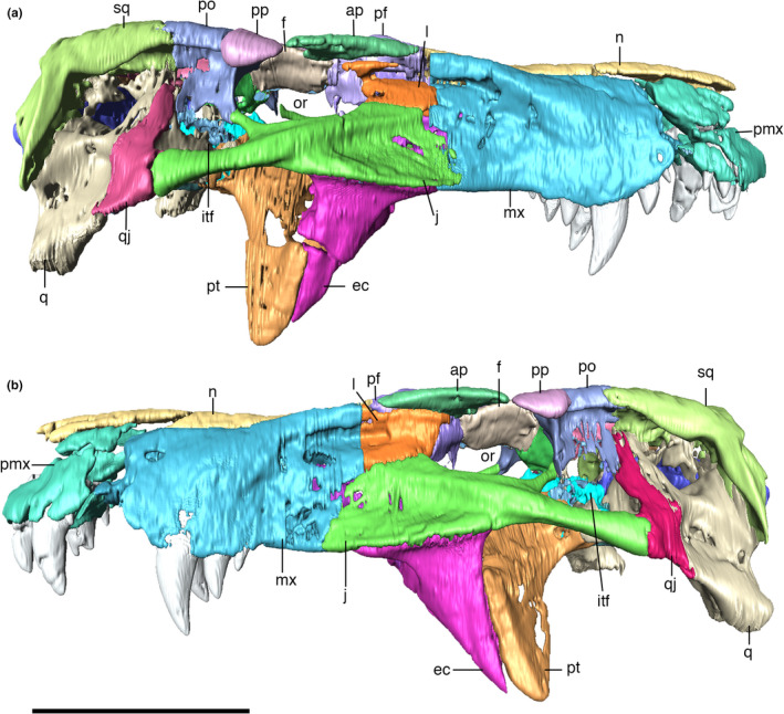 FIGURE 4