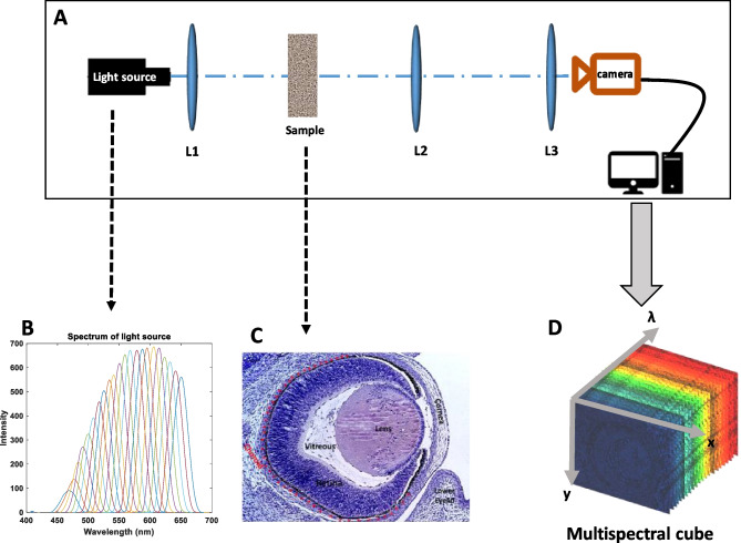 Fig. 1