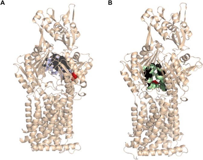 Figure 6