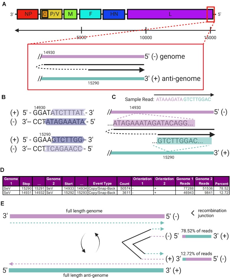 Figure 3: