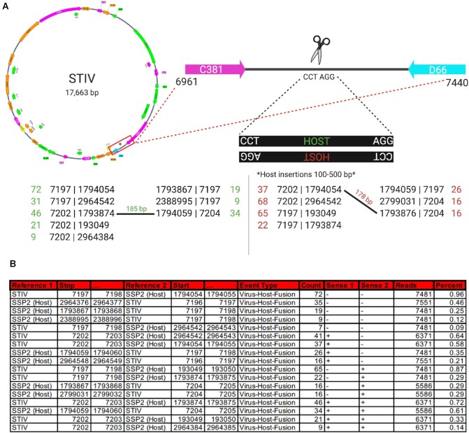 Figure 4: