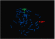 Fig. 4: