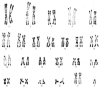 Fig. 1: