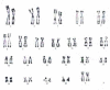 Fig. 3: