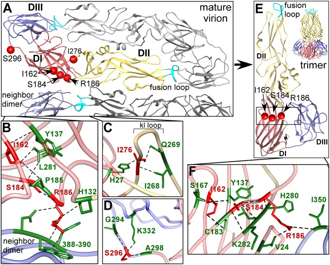 Fig. 4.