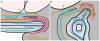 Fig. 10