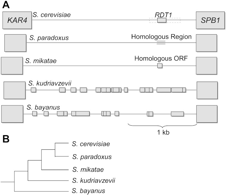 FIG. 4.–