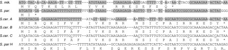 FIG. 3.–