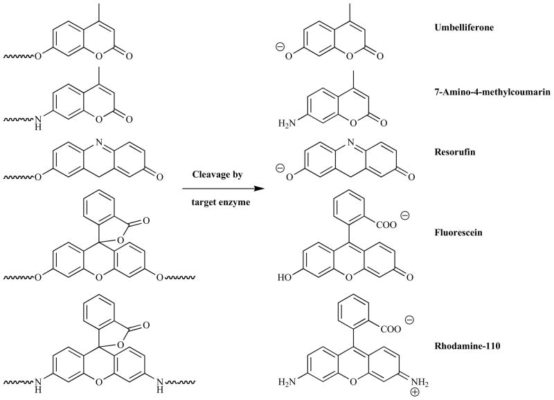 Fig. 11