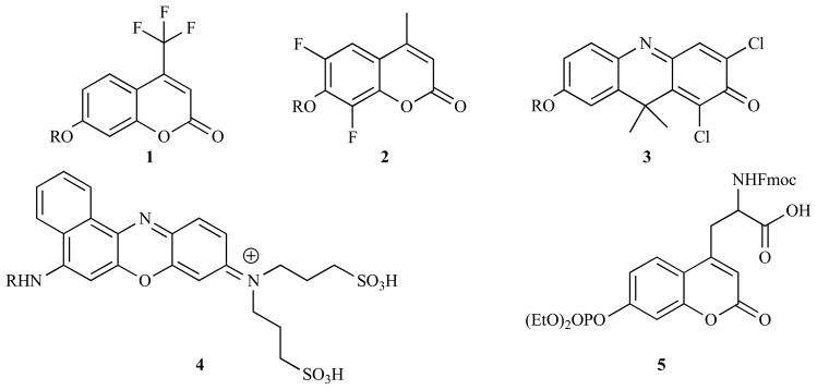 Fig. 12