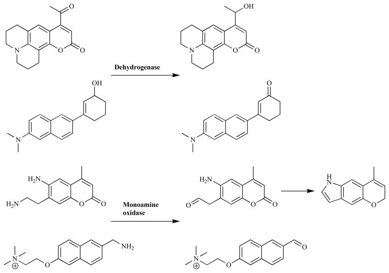 Fig. 17