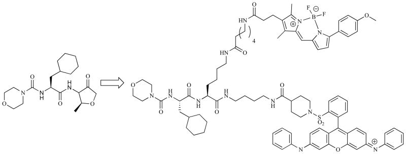 Fig. 6