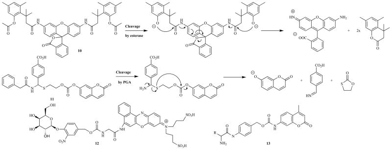 Fig. 16