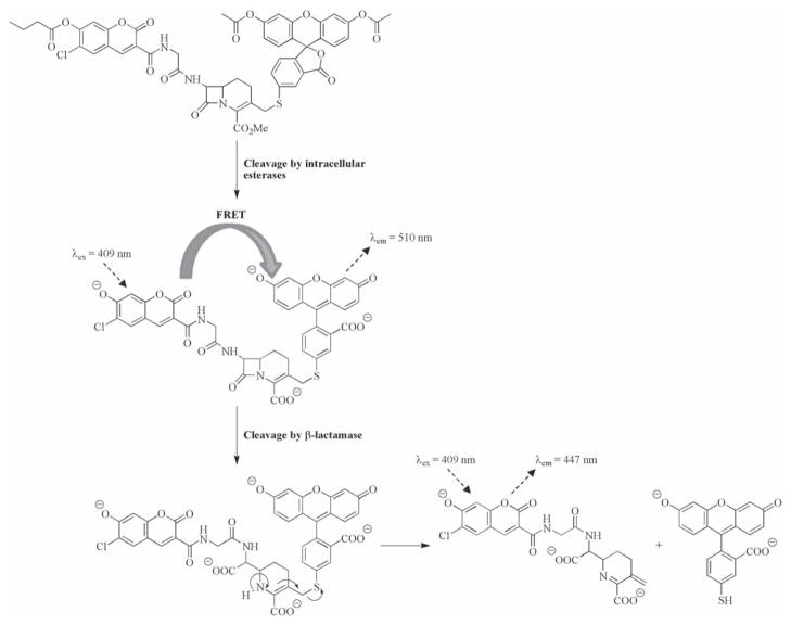 Fig. 4