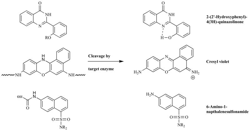 Fig. 15