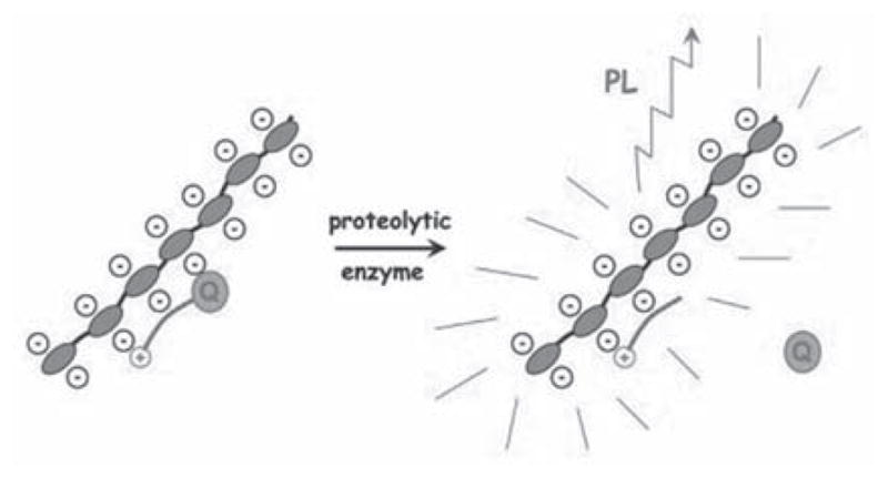 Fig. 9