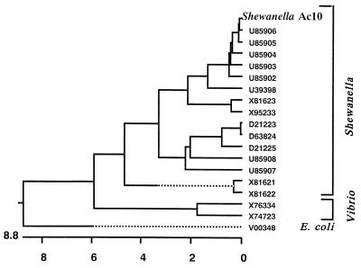 FIG. 1