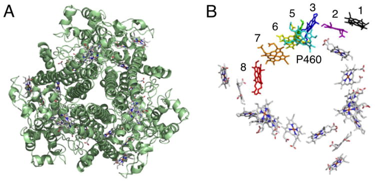 Fig. 6