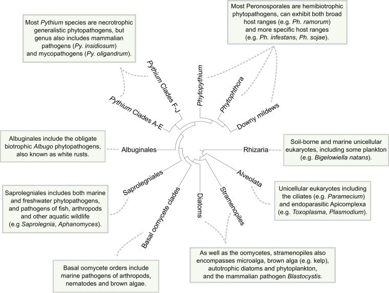 FIG 1 