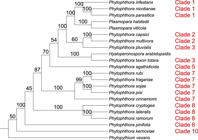 FIG 6 