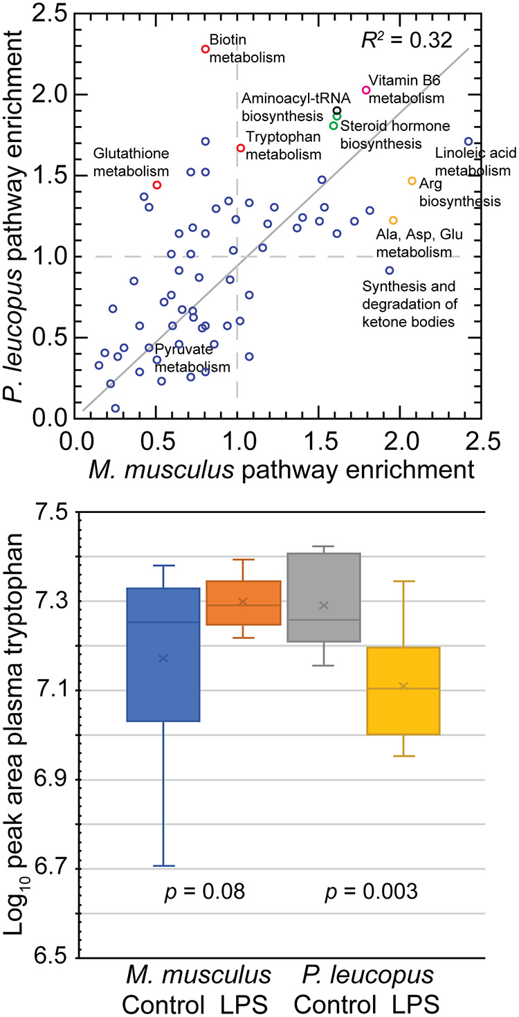 FIG 2