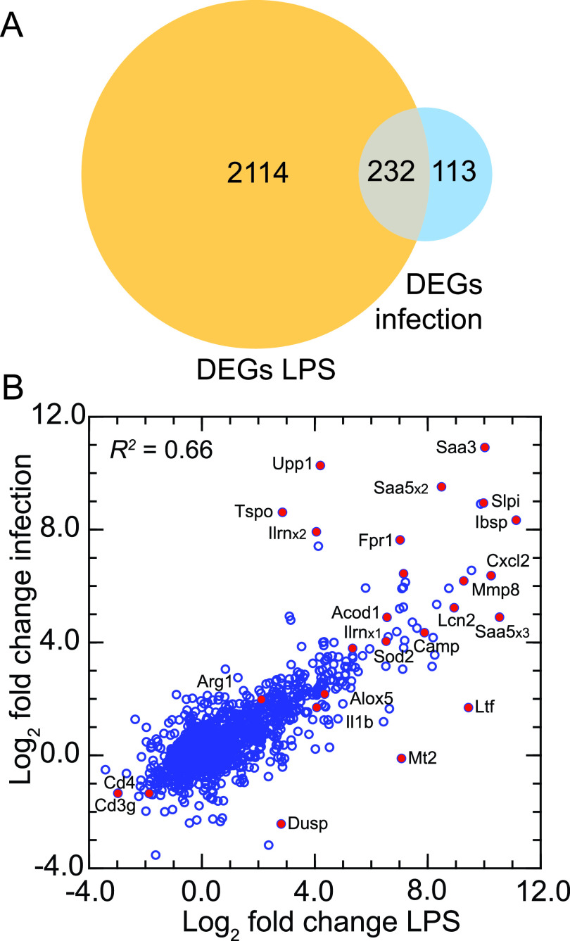 FIG 8