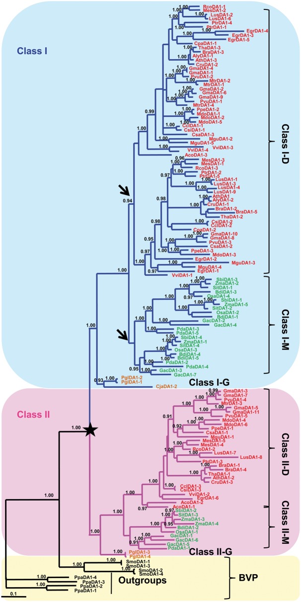 Fig. 2.—