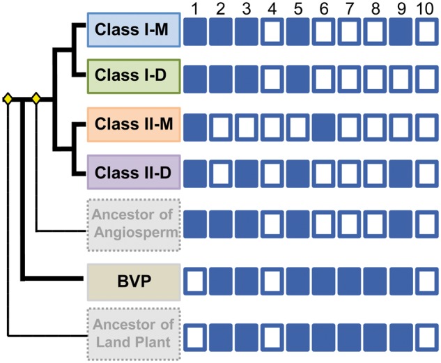 Fig. 4.—