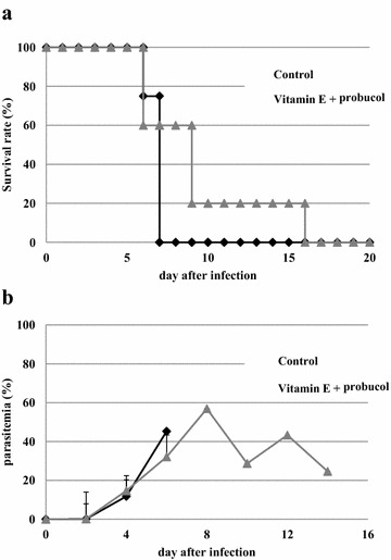 Fig. 4