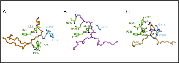 Fig. 8