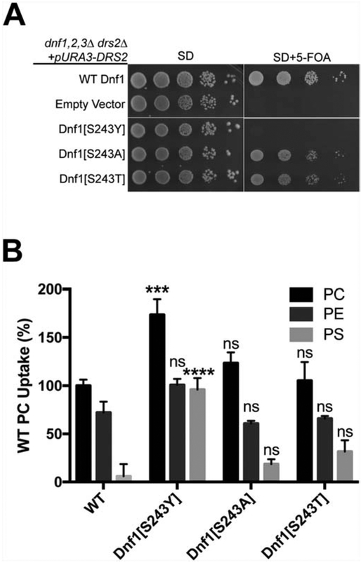 Figure 5.