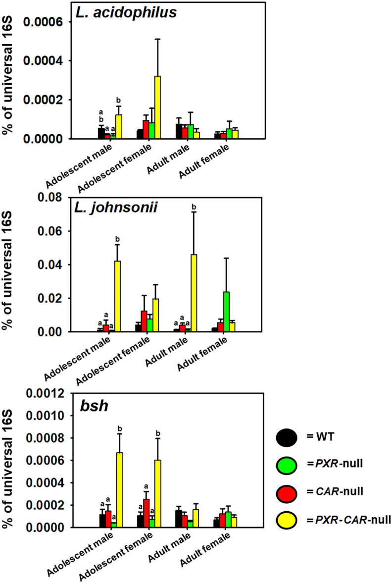 Figure 5