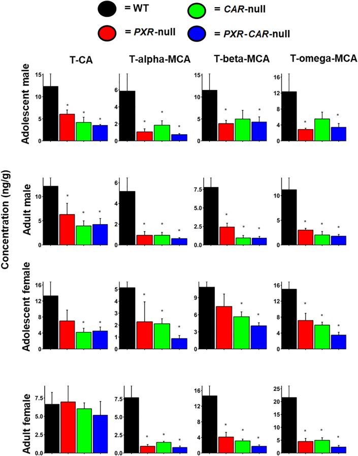 Figure 6