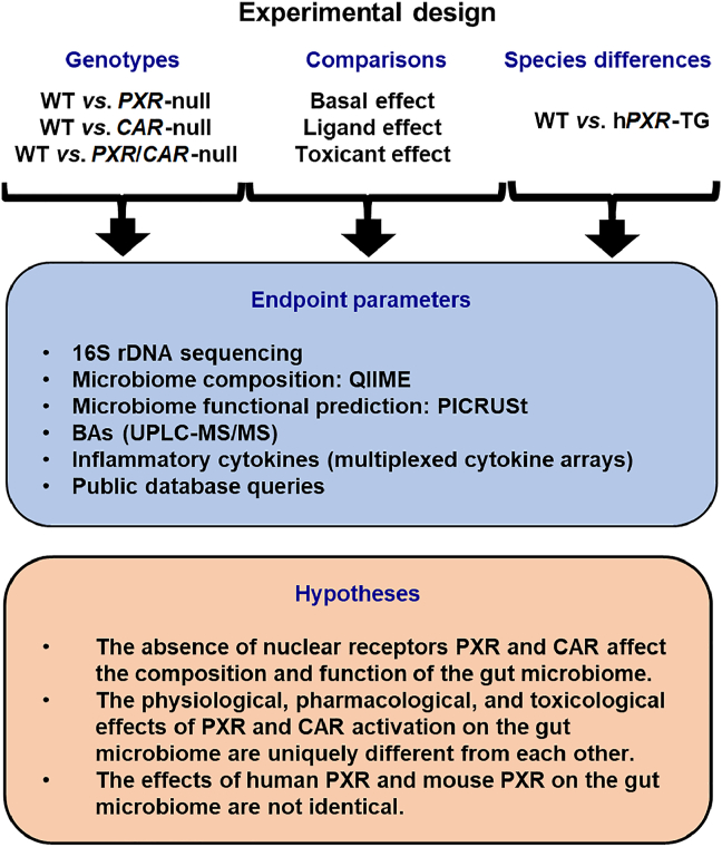 Figure 1