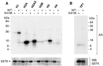 FIG. 8.