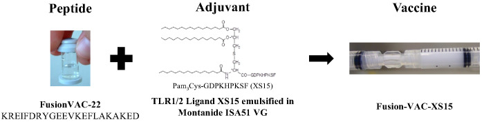 Figure 2