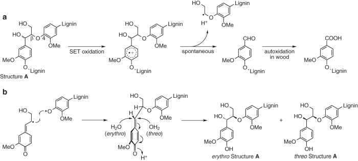 FIG 1