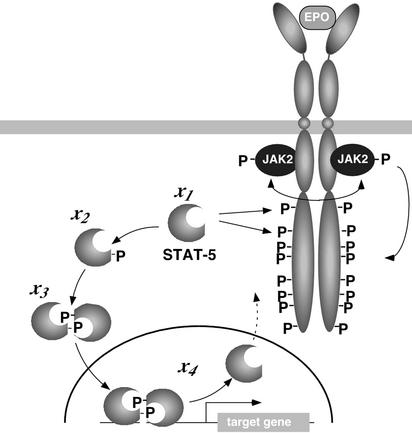 Fig 1.