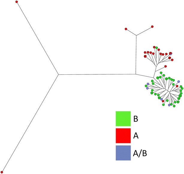 Fig. 2