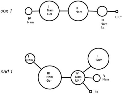 Fig. 2