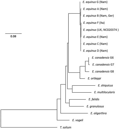 Fig. 3