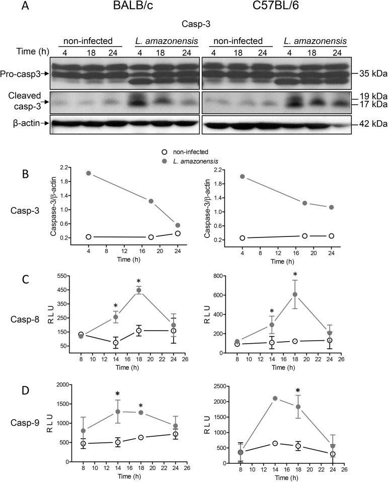 Fig 7