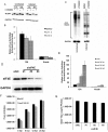 Fig 8