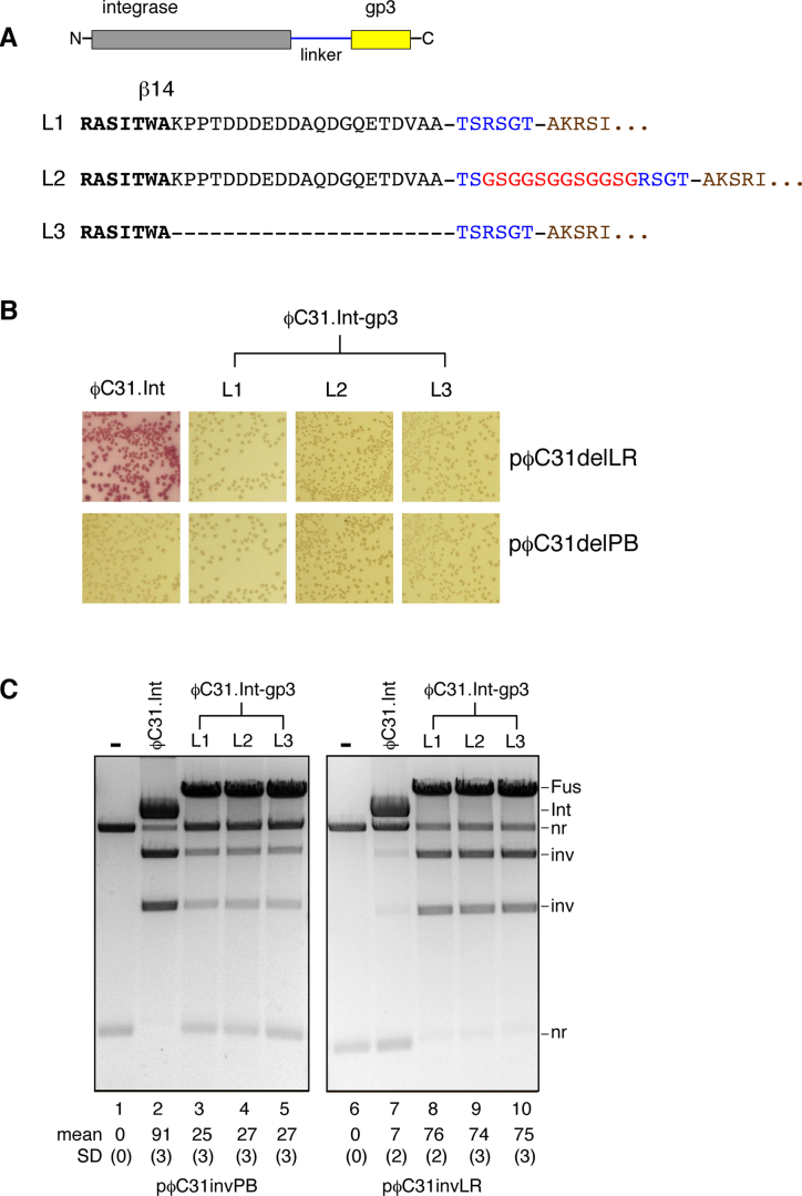 Figure 5.