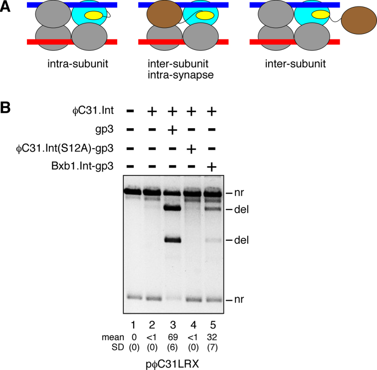 Figure 4.