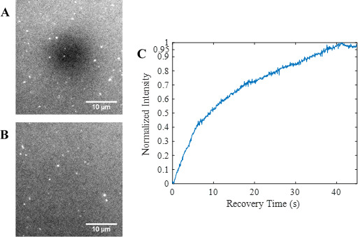 Figure 1—figure supplement 4.